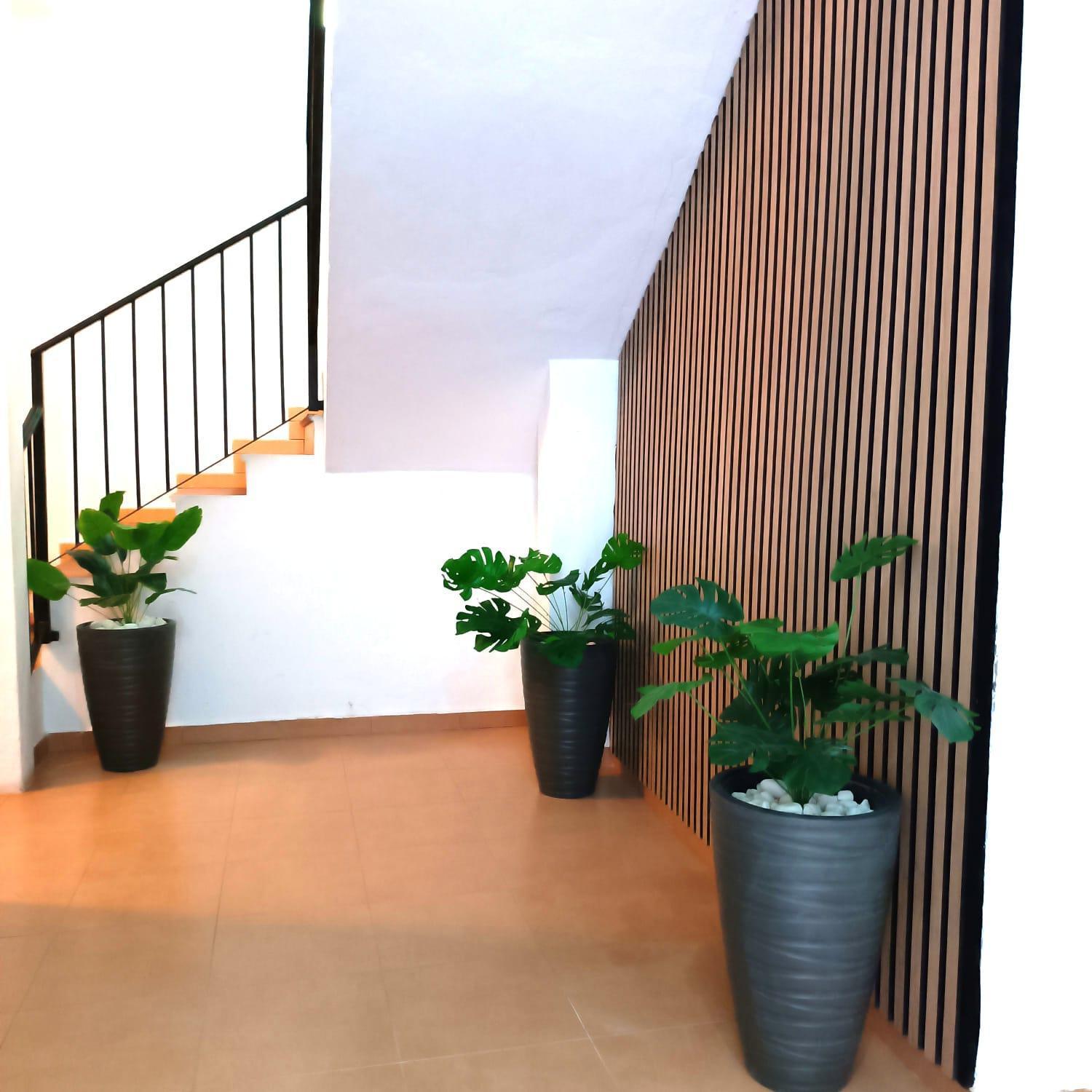 Apartamentos Duende Málaga Dış mekan fotoğraf